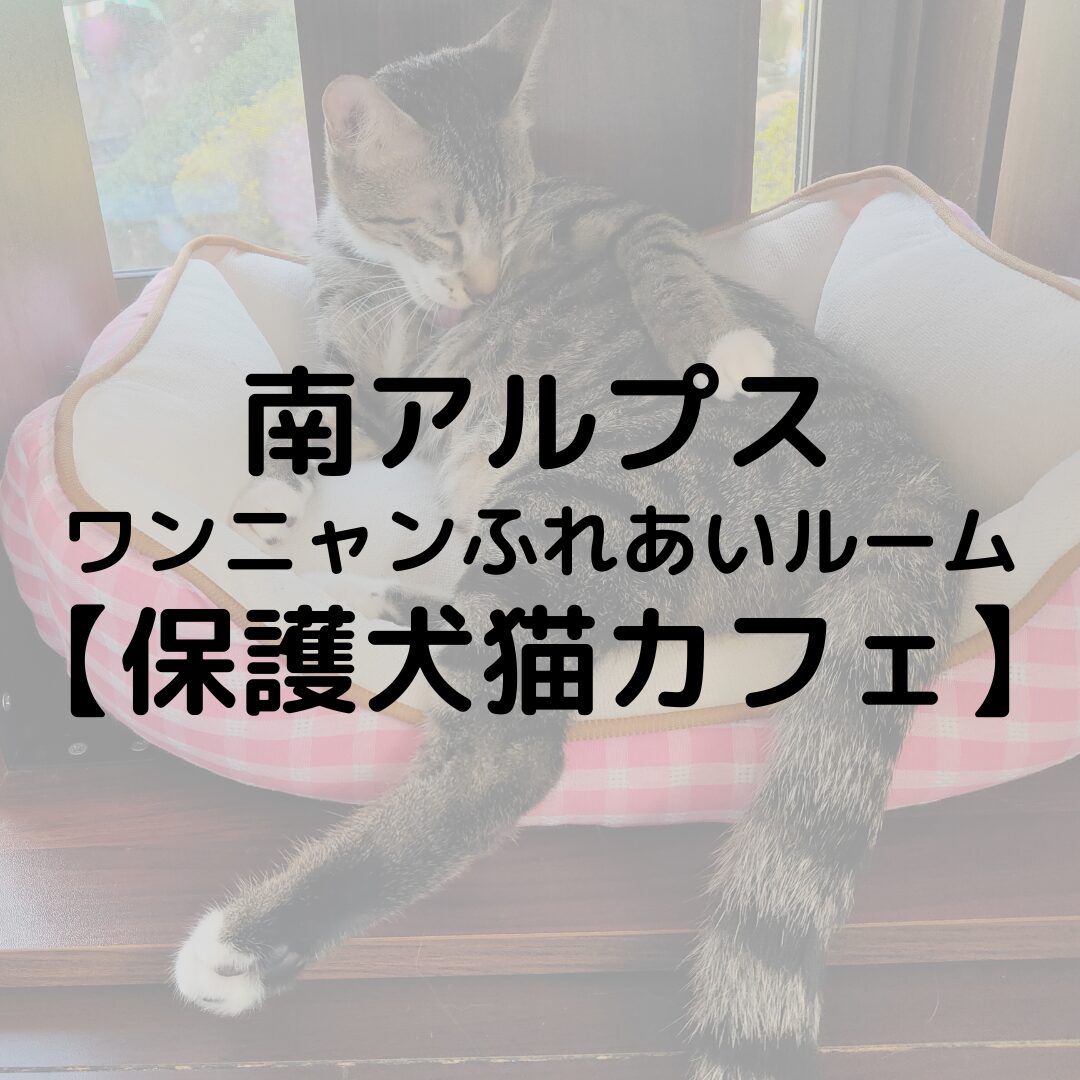 南アルプス　ワンニャンふれあいルームに行ってきた！｜保護猫犬カフェ