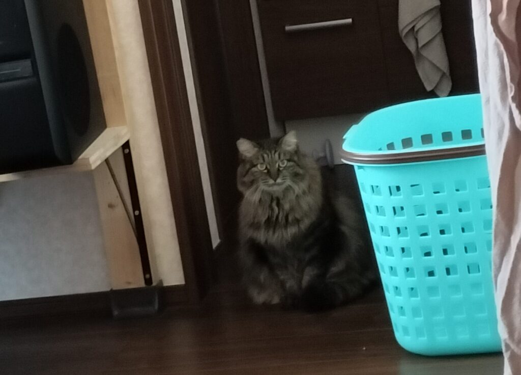 もずくの冒険２