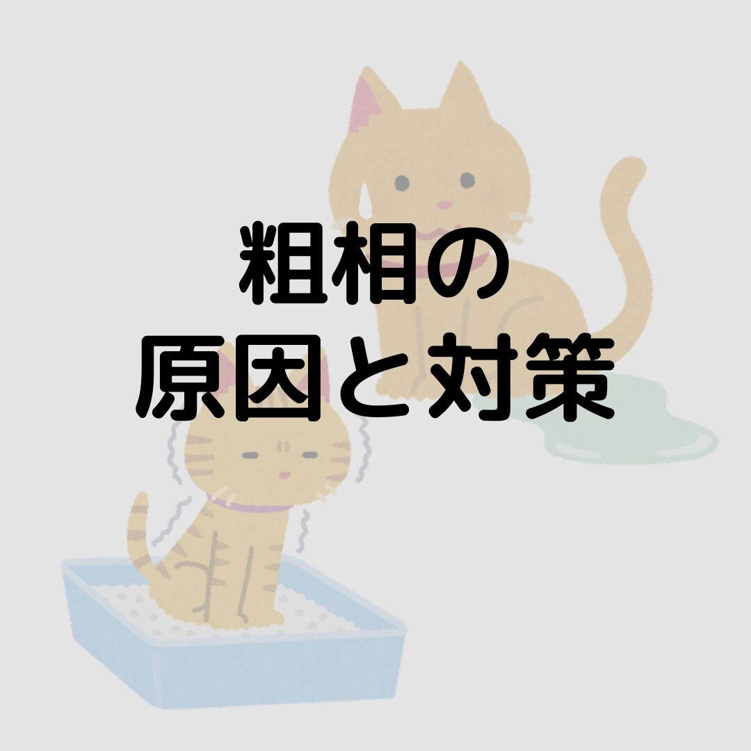 猫が布団に粗相をするのは嫌がらせ？しつけは出来る？粗相の原因と対策！