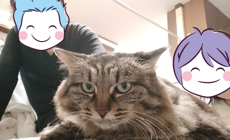 集合写真