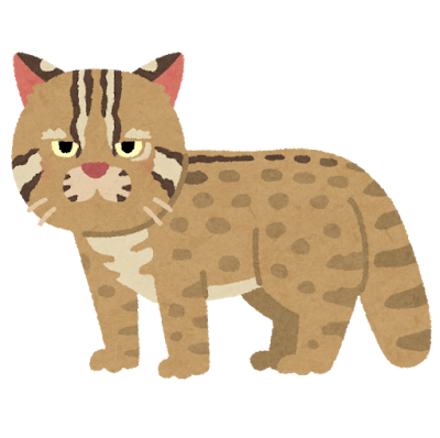 ヤマネコ