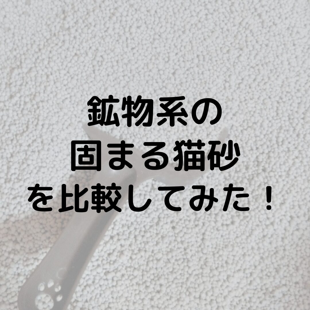 鉱物系の固まる猫砂３つを比較してみた！臭わないのは？コスパが良いのは？
