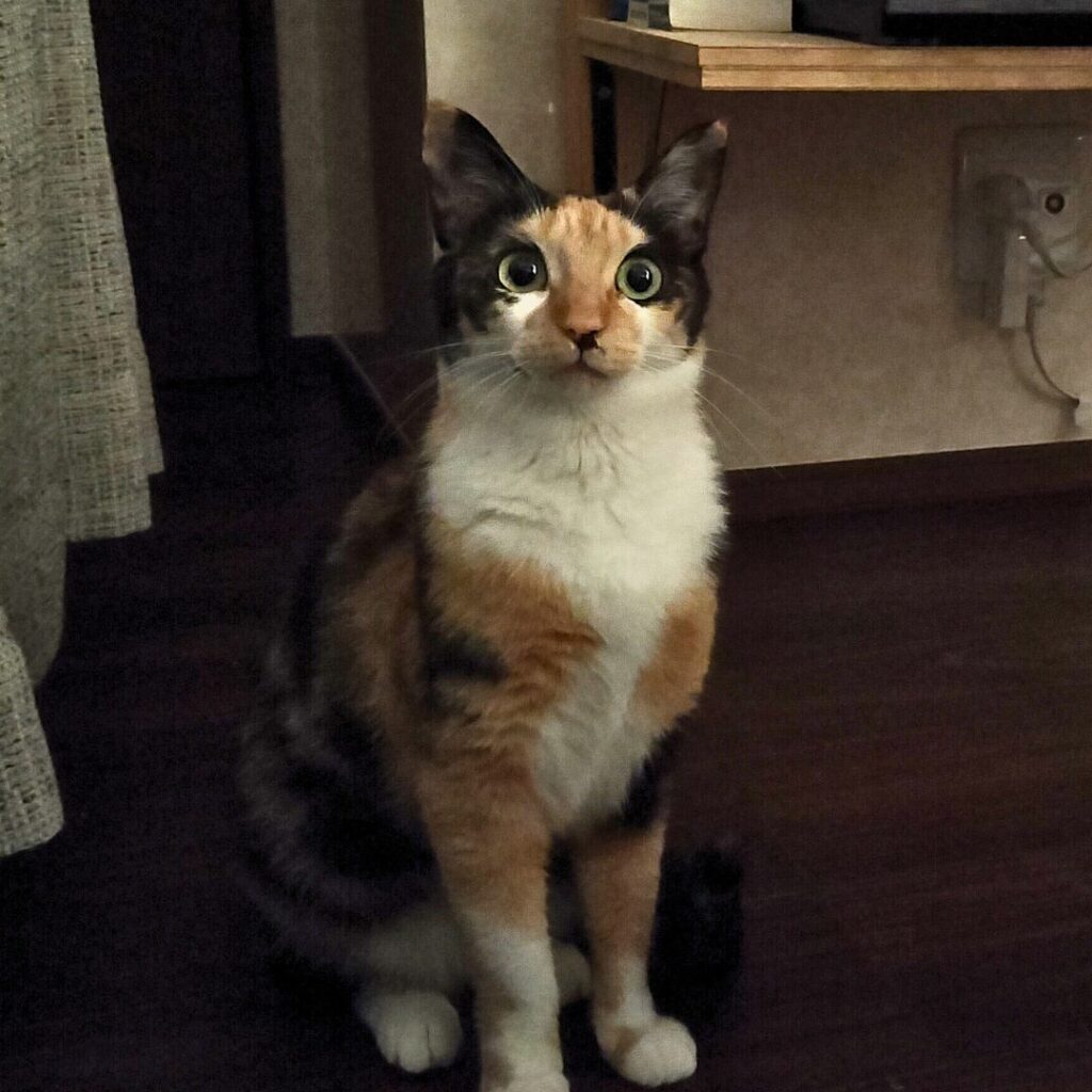 最近