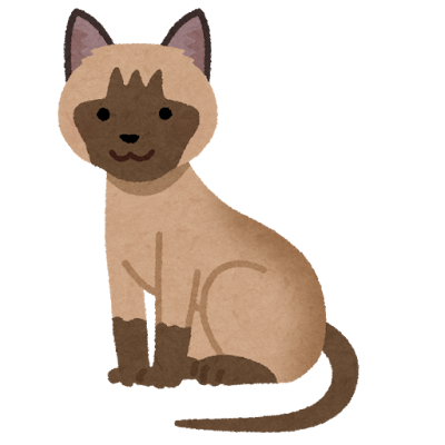 猫