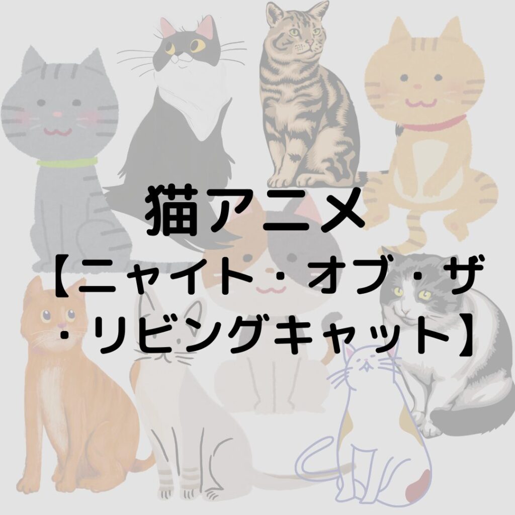 【ニャイト・オブ・ザ・リビングキャット】猫好き必見の猫アニメ！ネタバレなし！