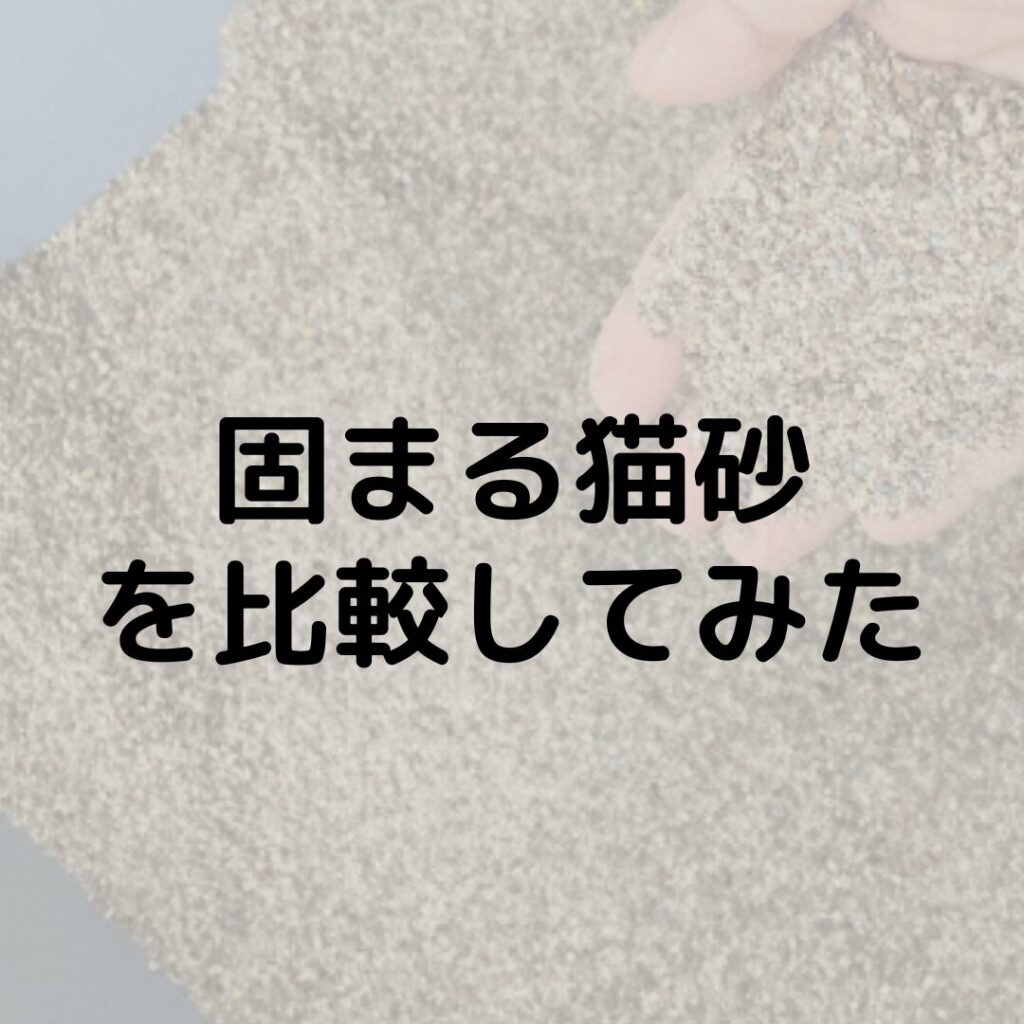 安い？消臭力は？おすすめは？人気の固まる猫砂３つを比較してみた！