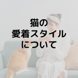 最新の研究で判明!猫の人間に対する愛着スタイルは3種類!