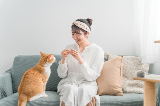 飼い主と触れ合う猫