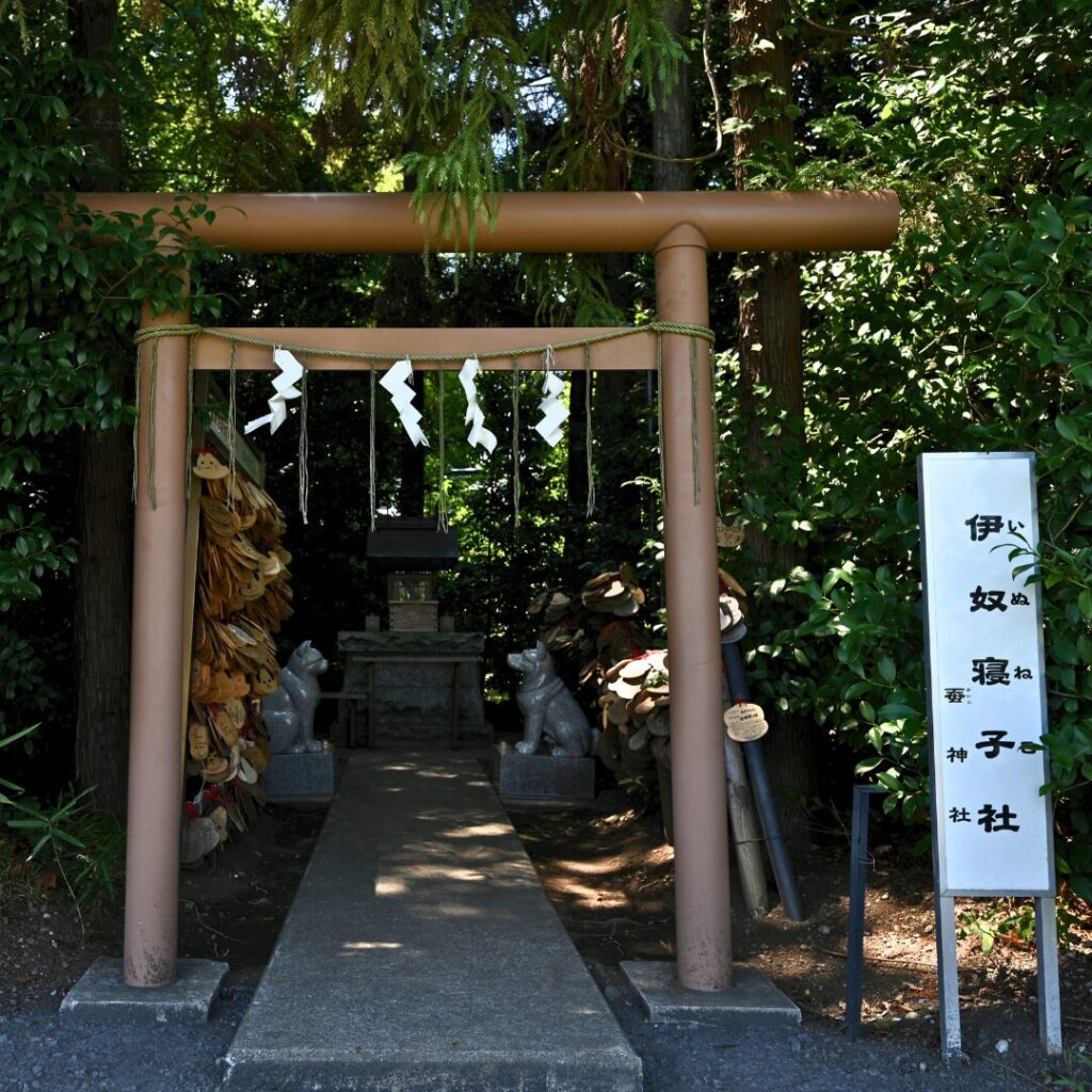伊奴寝子社