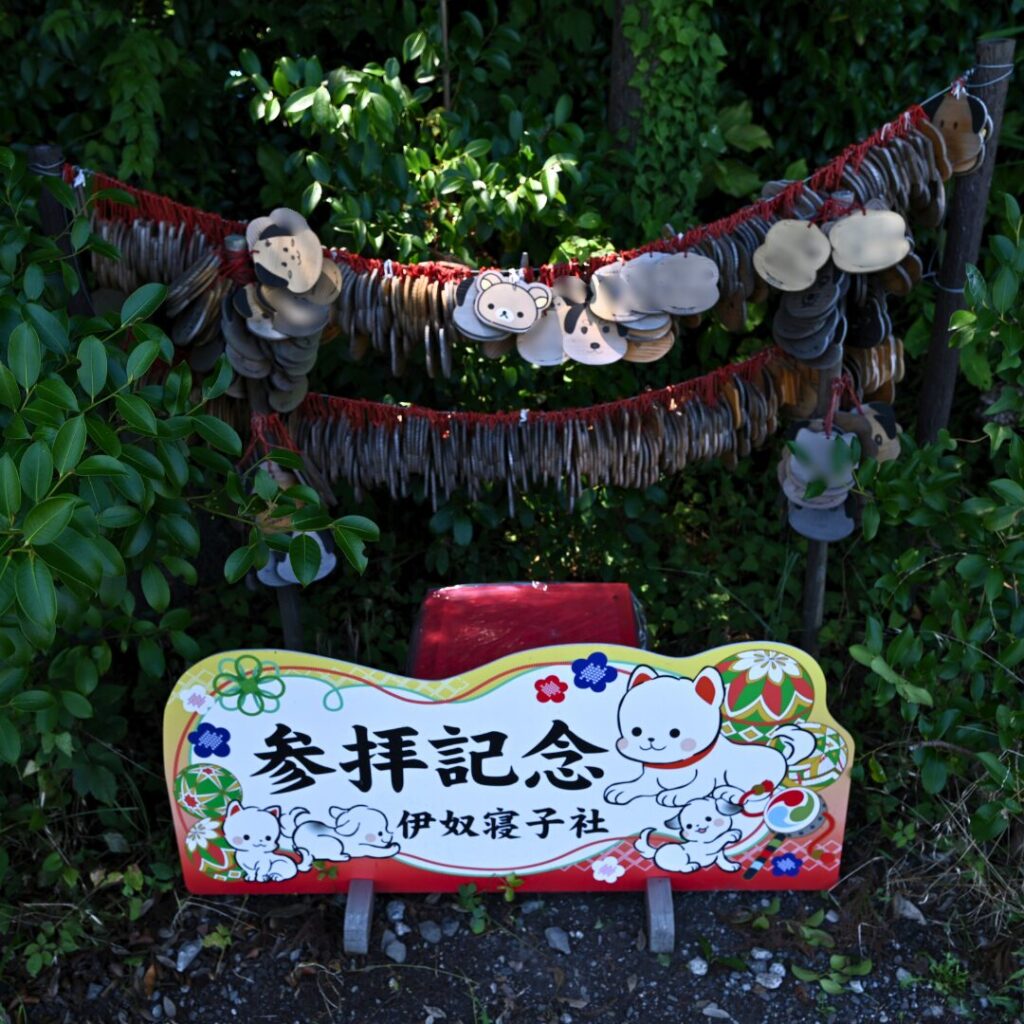伊奴寝子社　写真スポット