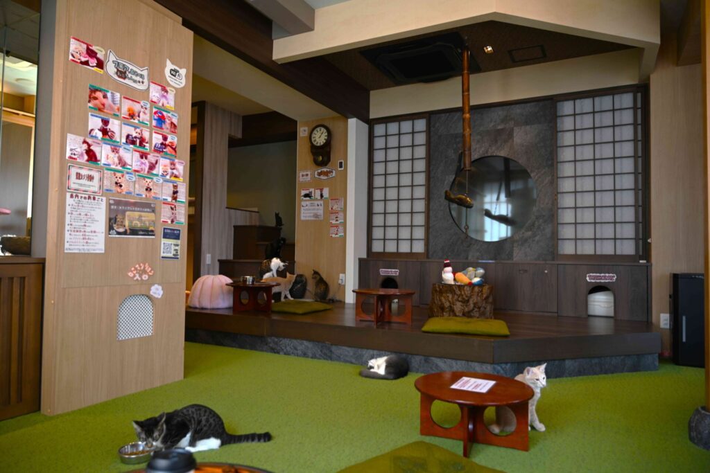 猫宿町