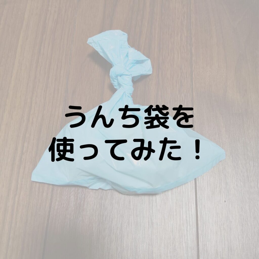 うんちが臭わない袋を使ってみた！コスパが良いのは？猫のうんちも臭わない？