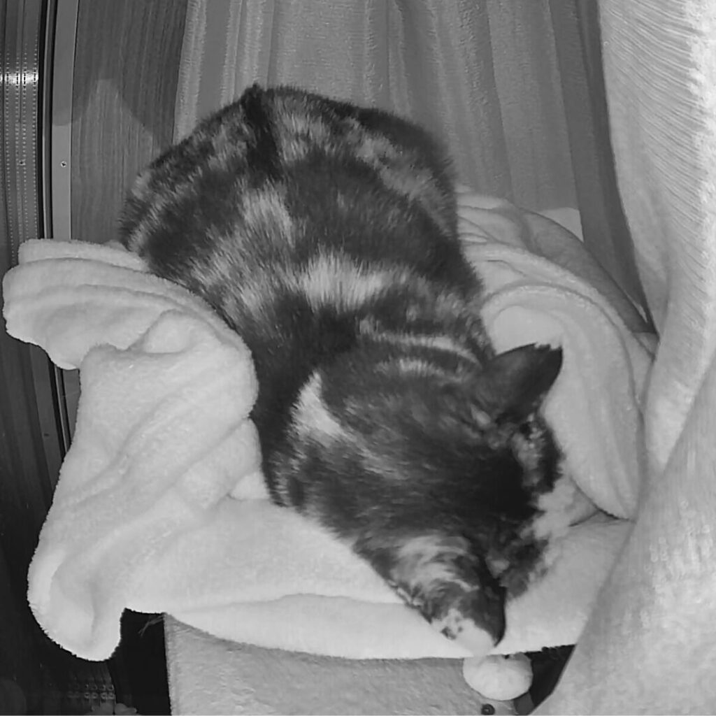 毛布を使う綾さん