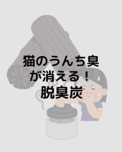 猫のゴミ箱の脱臭・臭い対策に!脱臭炭を紹介します!うんち臭が消える!