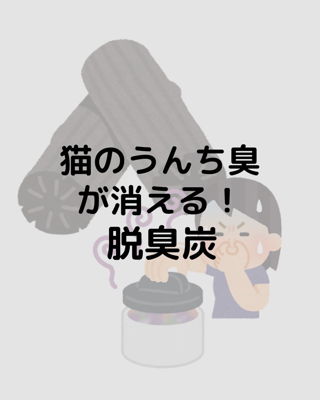 猫のゴミ箱の脱臭・臭い対策に！脱臭炭を紹介します！うんち臭が消える！