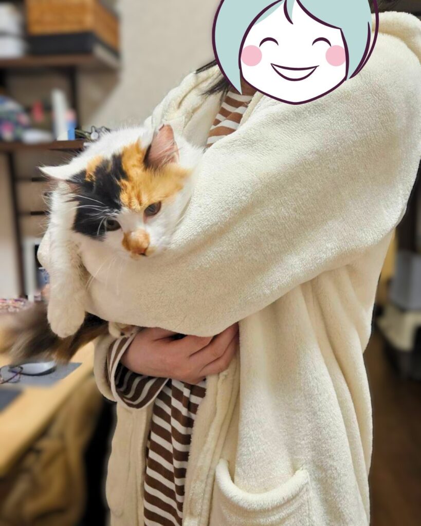 ムームーが来た当時