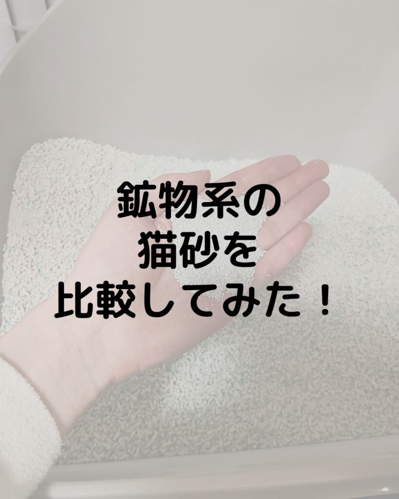鉱物系固まる猫砂を使ってみた！おすすめは？コスパが良いのは？臭わないのは？