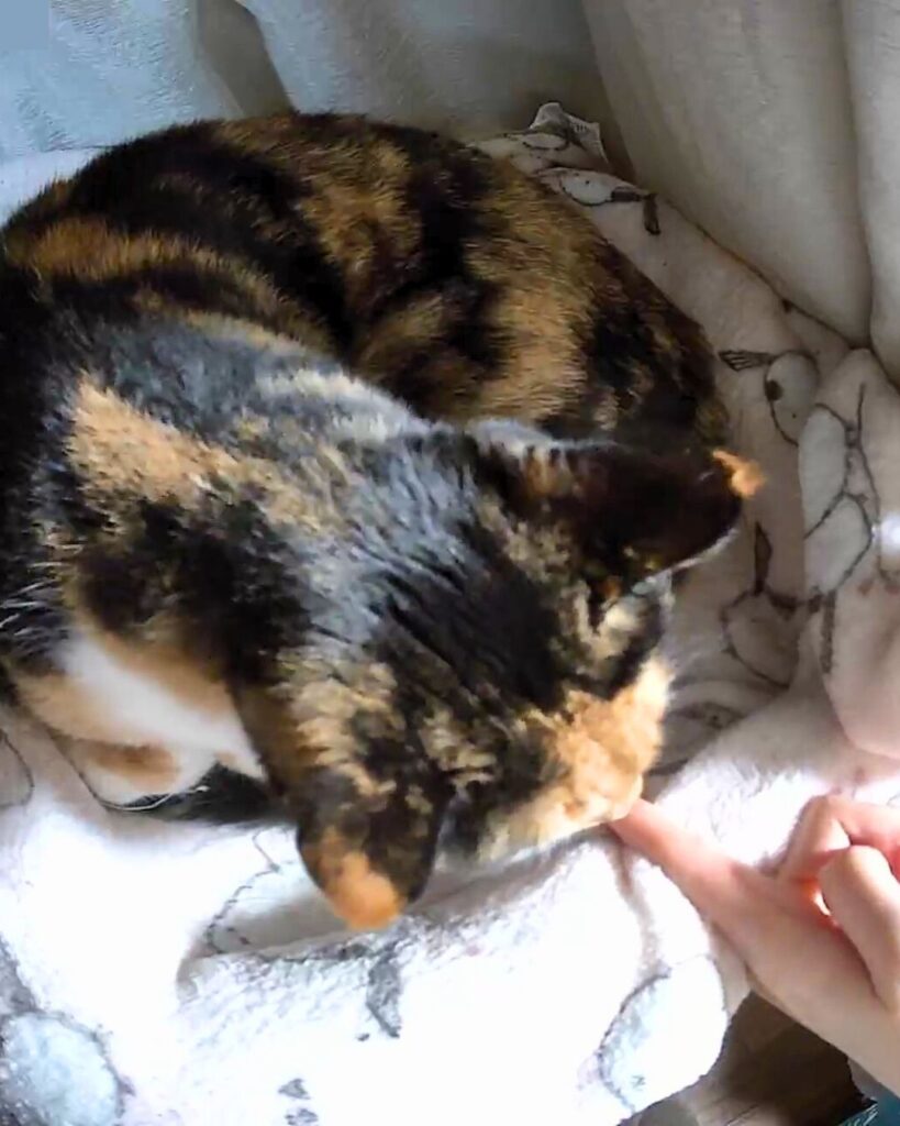 おやつを食べる綾さん