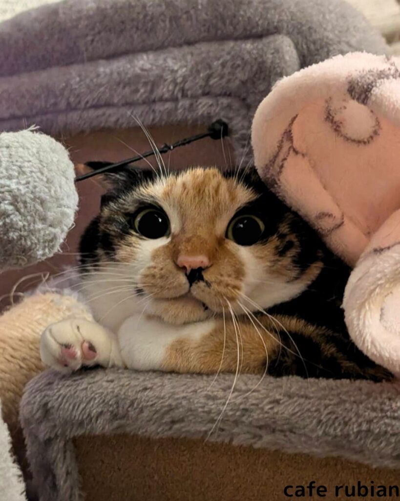 下から撮った綾さん