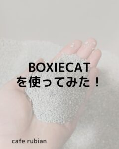 鉱物系の固まる猫砂【BOXIECAT】を使ってみた!安い?粉塵は?
