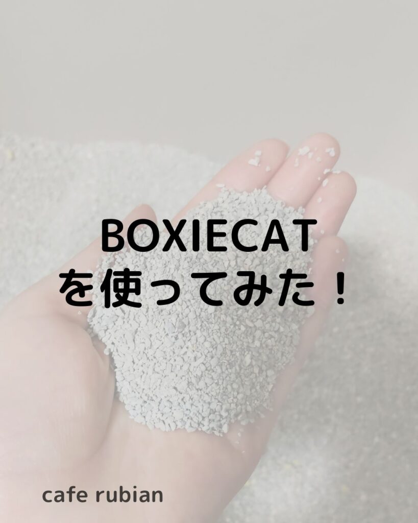鉱物系の固まる猫砂【BOXIECAT】を使ってみた!安い?粉塵は?