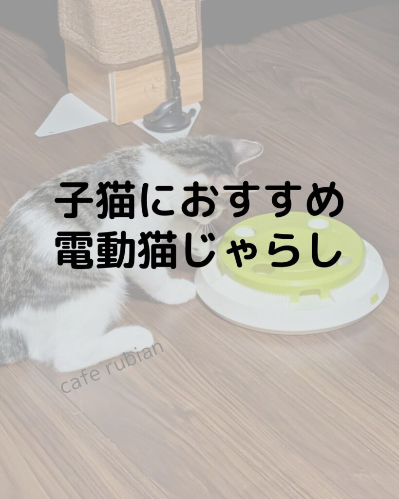 おすすめの電動猫じゃらしを紹介します!羽付きで子猫の一人遊びにおすすめ!
