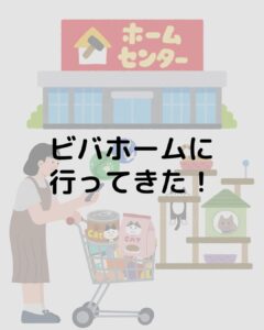 猫用品を買いに【ビバホーム】へ行ってきた!ご飯・猫砂・ケージまで圧倒的な品揃えで楽しすぎた