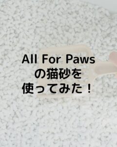 キャッサバ猫砂【All For Paws】を使ってみた!